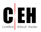 Certified Ethical Hacker (CEH) badge